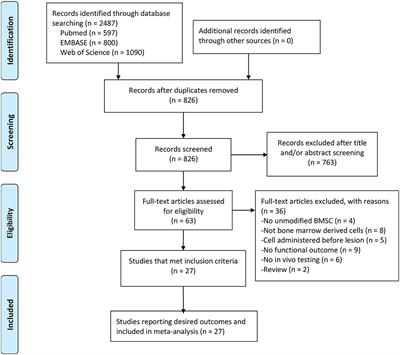 Effect of Bone Marrow Stromal Cells in Parkinson's Disease Rodent Model: A Meta-Analysis